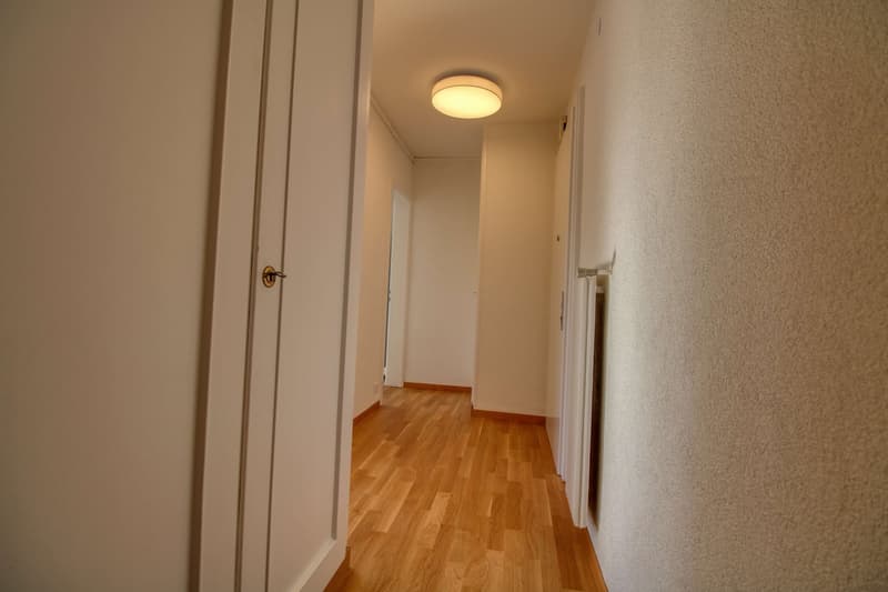 Penthouse en collocation au centre de Lausanne (20)
