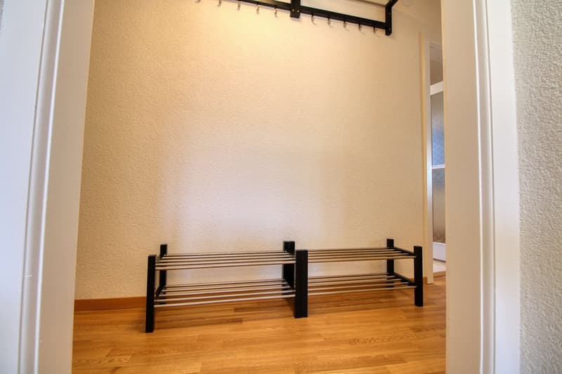 Penthouse en collocation au centre de Lausanne (21)