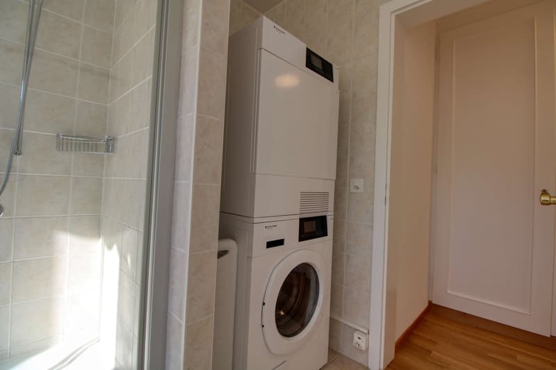 Penthouse en collocation au centre de Lausanne (18)