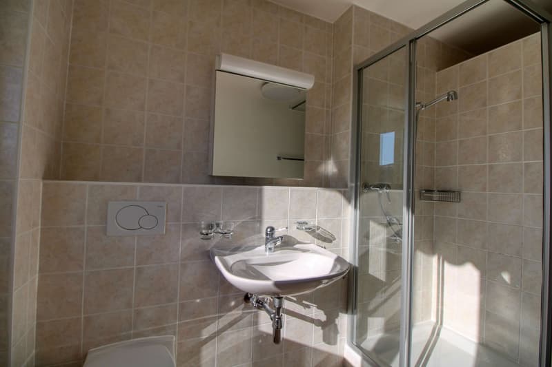 Penthouse en collocation au centre de Lausanne (14)