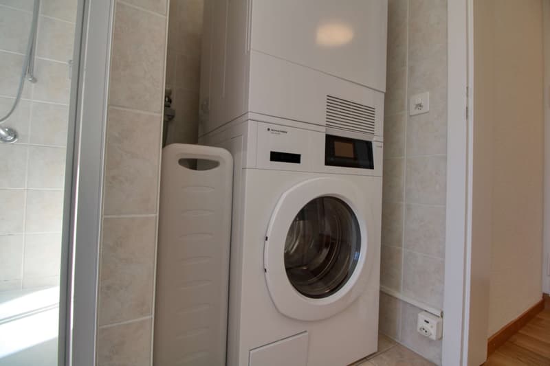 Penthouse en collocation au centre de Lausanne (17)