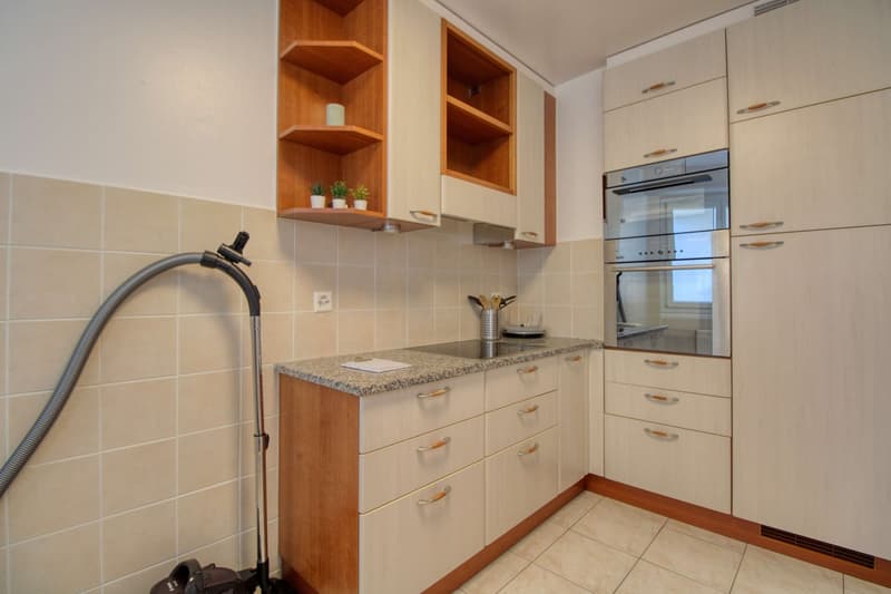 Penthouse en collocation au centre de Lausanne (31)