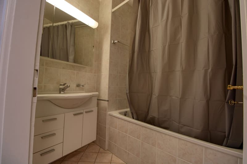 Penthouse en collocation au centre de Lausanne (15)