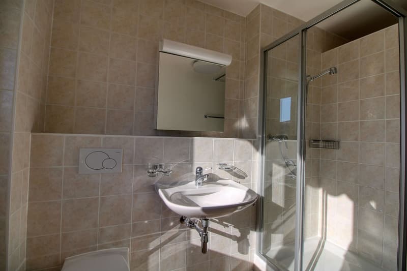 Penthouse en collocation au centre de Lausanne (13)