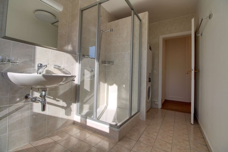 Penthouse en collocation au centre de Lausanne (11)