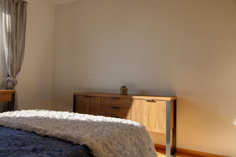 Penthouse en collocation au centre de Lausanne (3)