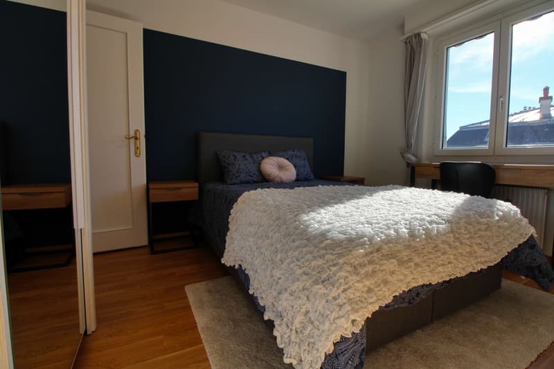 Penthouse en collocation au centre de Lausanne (4)