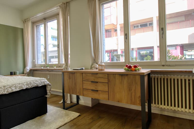 A Cozy Studio in Basel (6)