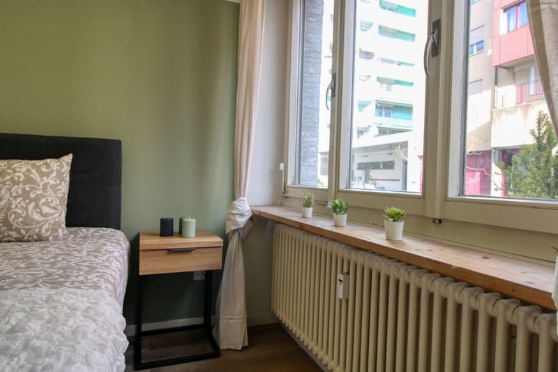 A Cozy Studio in Basel (4)