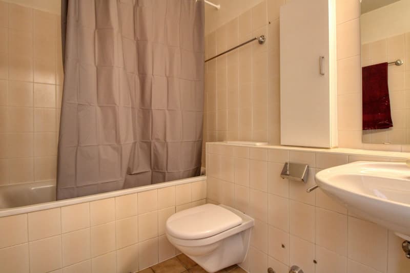 Spacious and Modern Coliving in Grand-Saconnex, Geneva (19)