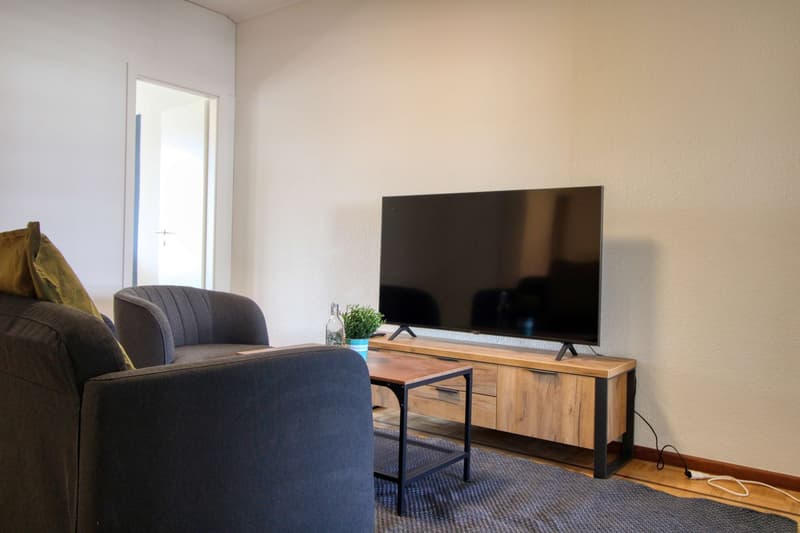 Spacious and Modern Coliving in Grand-Saconnex, Geneva (33)