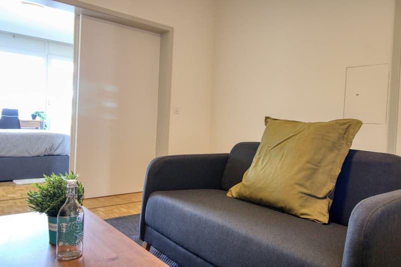 Spacious and Modern Coliving in Grand-Saconnex, Geneva (35)