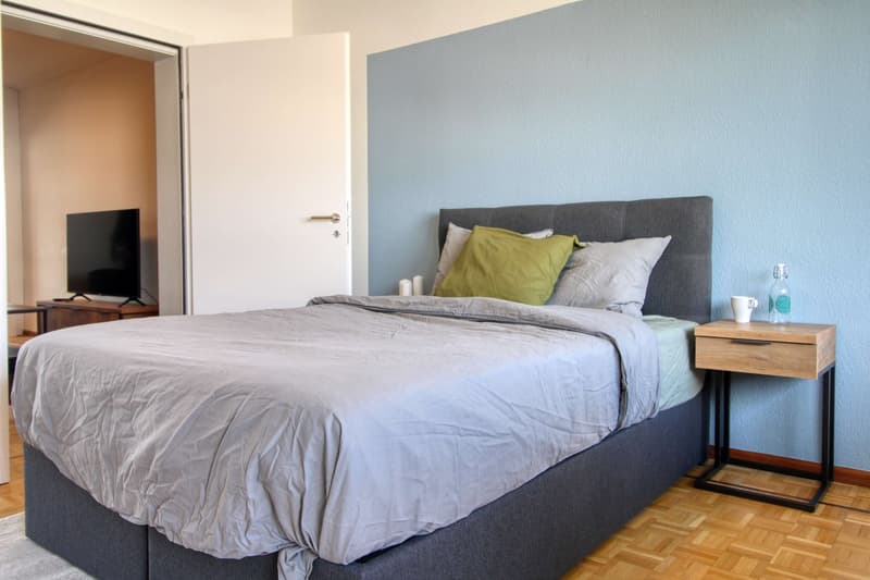 Spacious and Modern Coliving in Grand-Saconnex, Geneva (5)