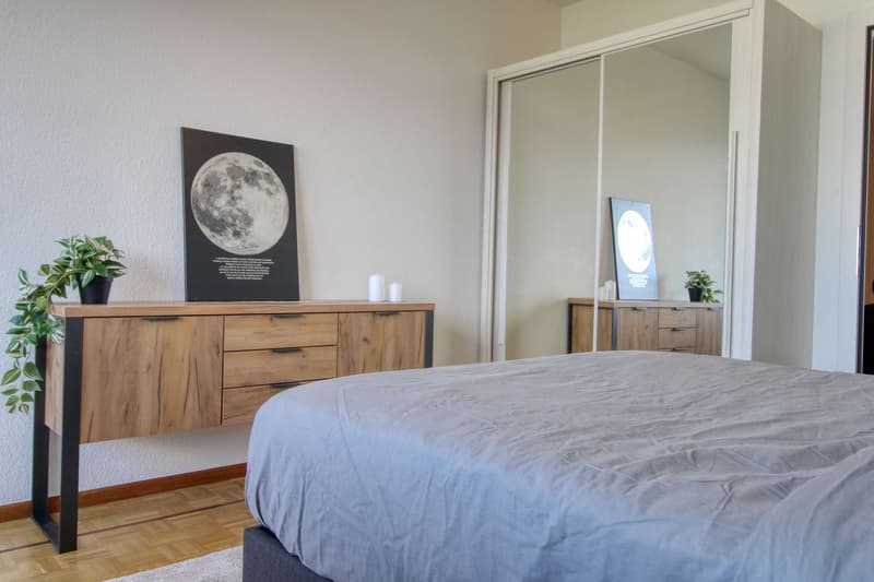 Spacious and Modern Coliving in Grand-Saconnex, Geneva (2)
