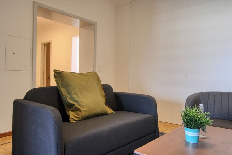 Spacious and Modern Coliving in Grand-Saconnex, Geneva (31)