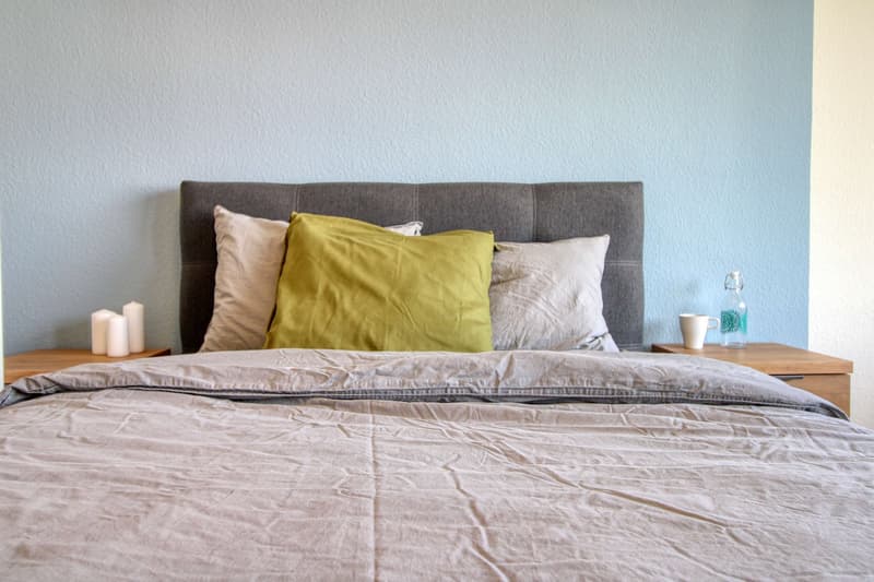 Spacious and Modern Coliving in Grand-Saconnex, Geneva (7)