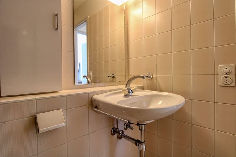 Spacious and Modern Coliving in Grand-Saconnex, Geneva (20)