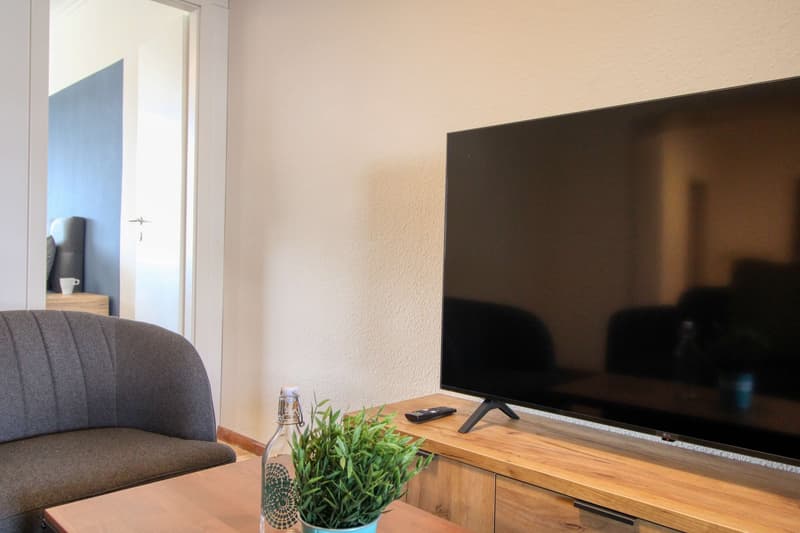 Television, coffee table, armchair, remote control, potted plant
