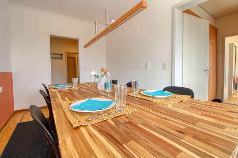 Spacious and Modern Coliving in Grand-Saconnex, Geneva (10)