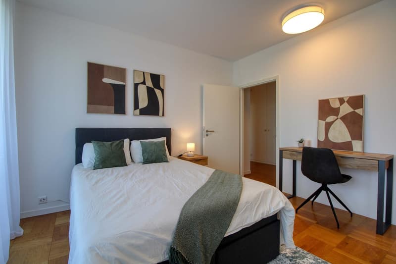 Coliving Spacieux et Bien Connecté à Chêne-Bourg (4)