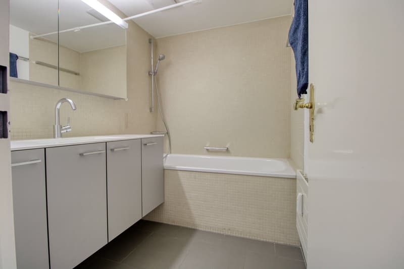Cozy Single Room with Balcony in Zürich-Leimbach (8)