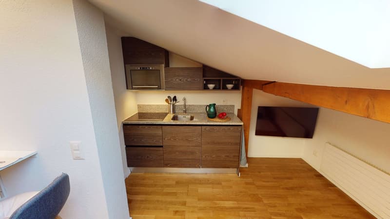 Studio in Schaffhausen (2)