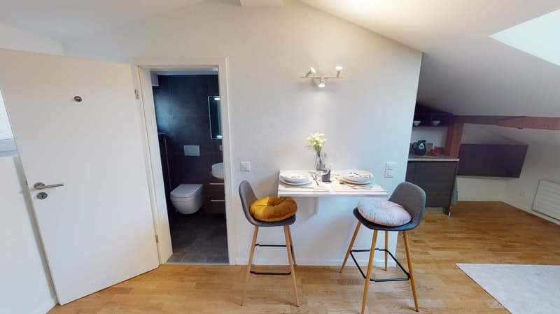 Studio in Schaffhausen (4)