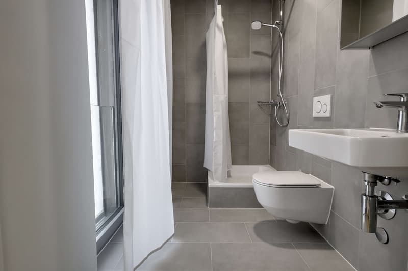 Coliving Alliant Intimité et Vie Partagée au Cœur de Renens (2)