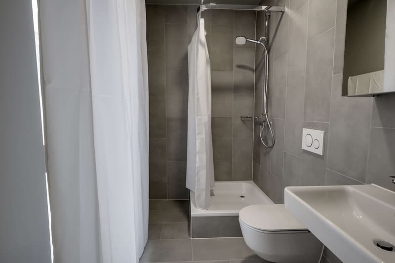 Coliving Alliant Intimité et Vie Partagée au Cœur de Renens (3)