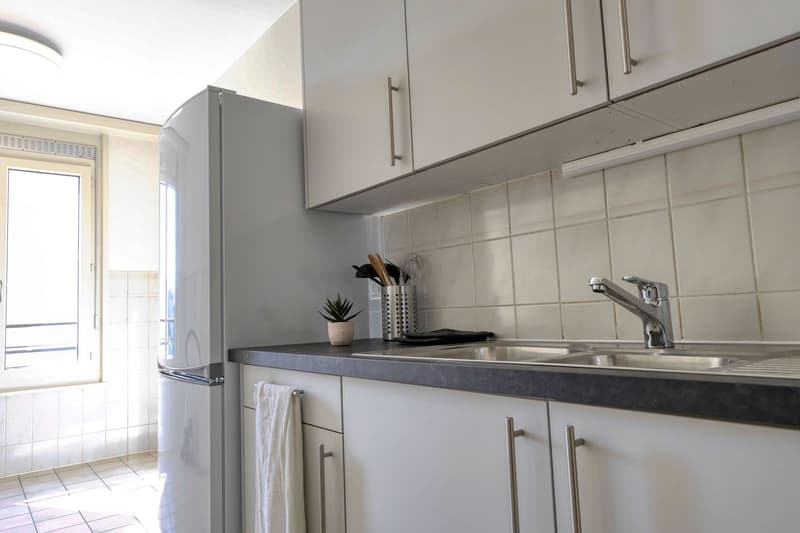 Confort et Communauté en Coliving au Cœur de Genève (17)