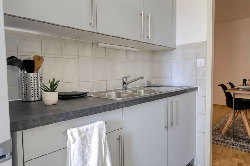 Confort et Communauté en Coliving au Cœur de Genève (16)