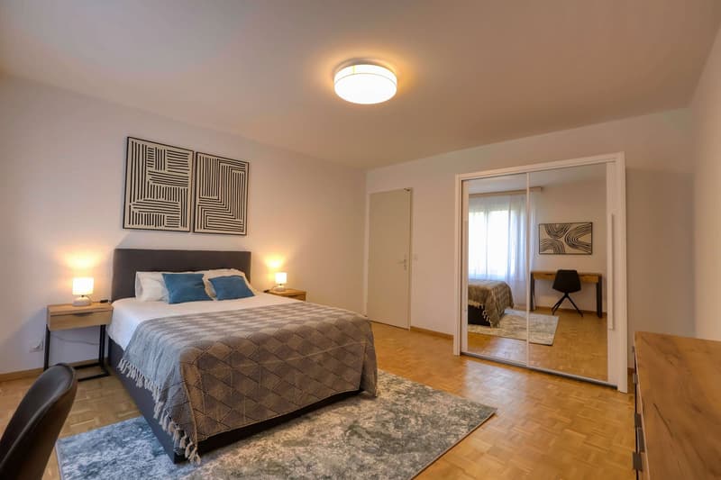 Confort et Communauté en Coliving au Cœur de Genève (8)
