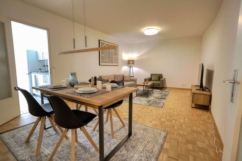 Confort et Communauté en Coliving au Cœur de Genève (13)