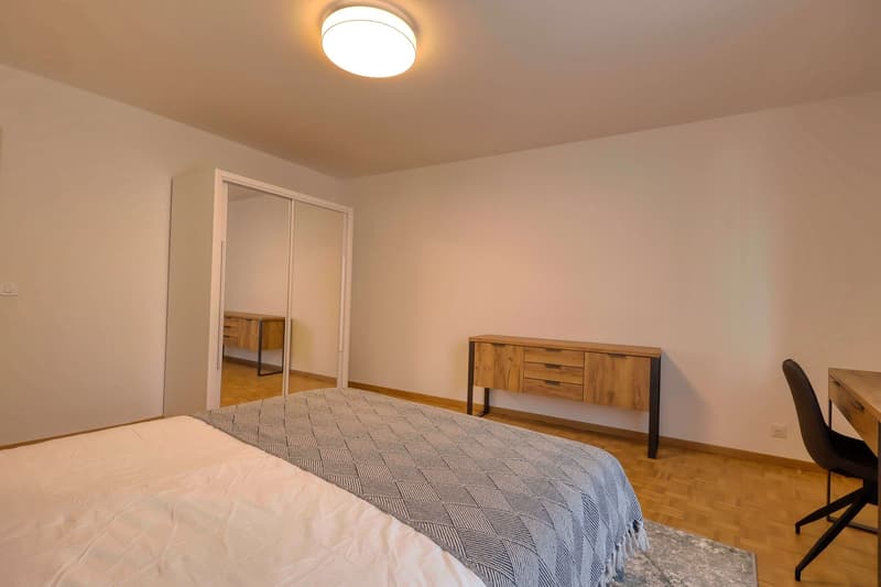 Confort et Communauté en Coliving au Cœur de Genève (6)