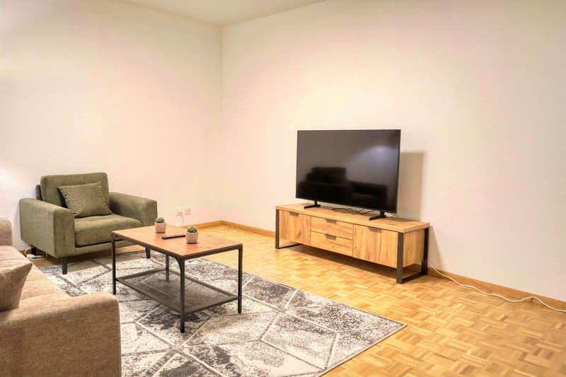 Confort et Communauté en Coliving au Cœur de Genève (10)