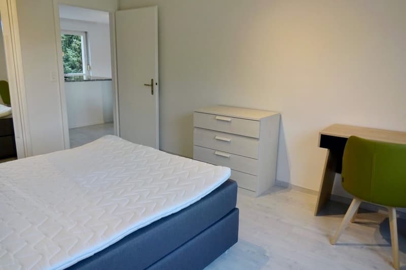 Furnished room in modernised apartment in a top location (2)