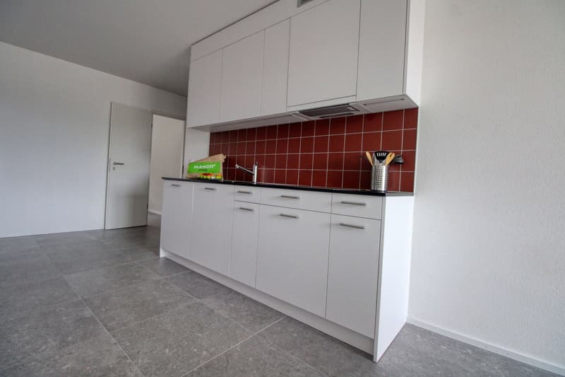 Appartement Coliving Spacieux à Crissier (13)