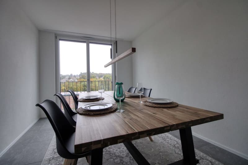 Appartement Coliving Spacieux à Crissier (11)