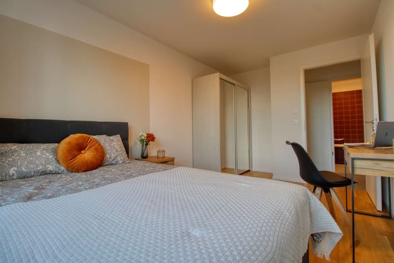 Appartement Coliving Spacieux à Crissier (4)