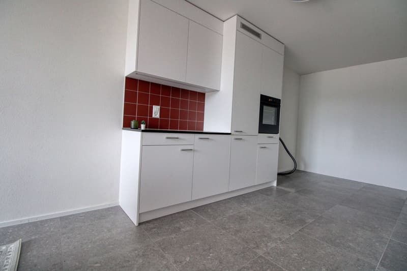 Appartement Coliving Spacieux à Crissier (15)