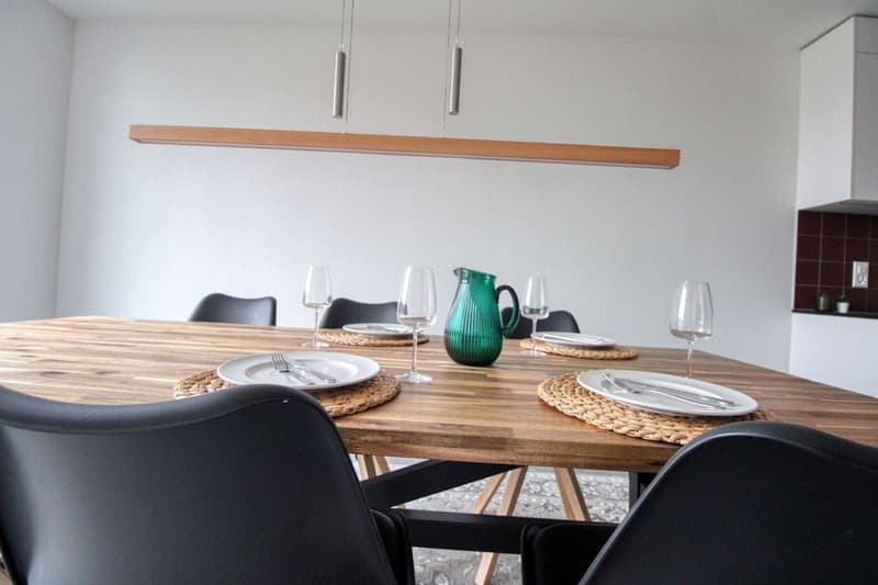 Appartement Coliving Spacieux à Crissier (10)