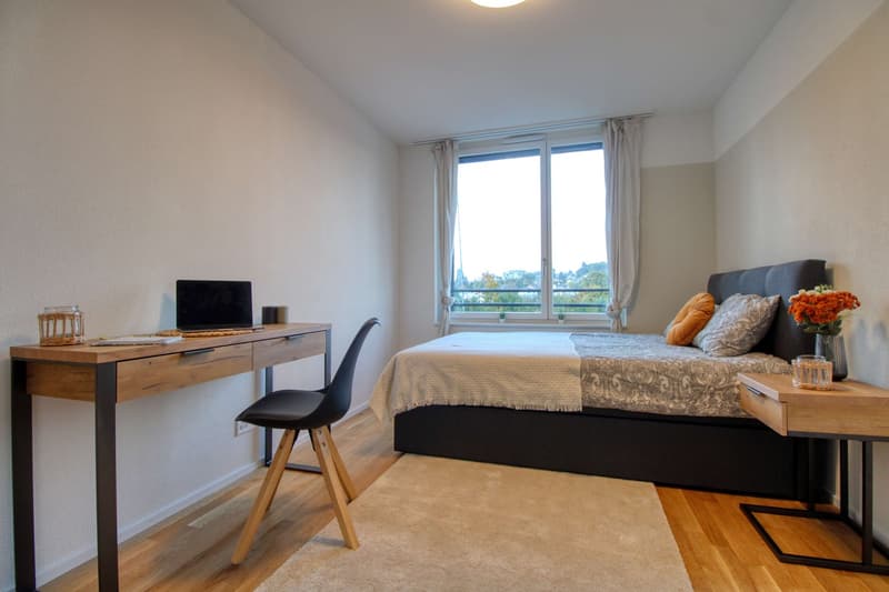 Appartement Coliving Spacieux à Crissier (5)