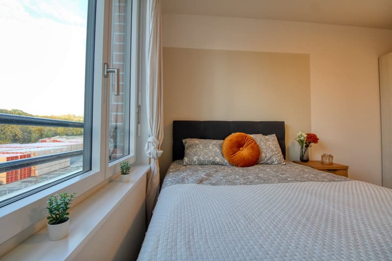 Appartement Coliving Spacieux à Crissier (1)