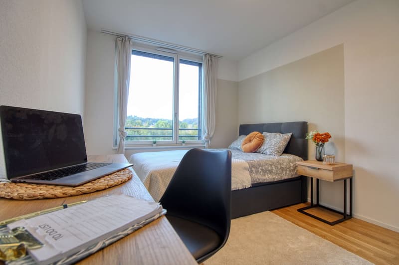 Appartement Coliving Spacieux à Crissier (2)