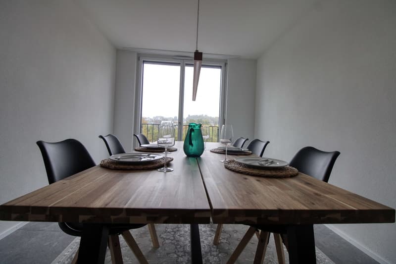 Appartement Coliving Spacieux à Crissier (9)