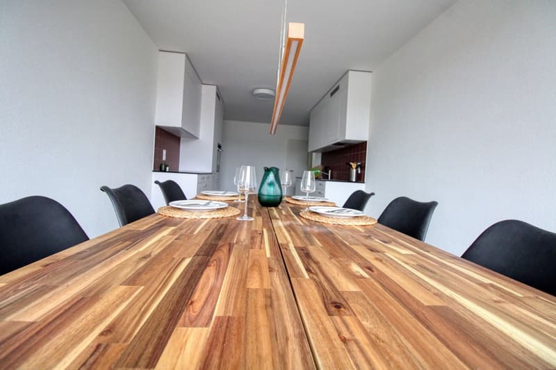 Appartement Coliving Spacieux à Crissier (12)