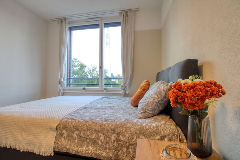 Appartement Coliving Spacieux à Crissier (7)