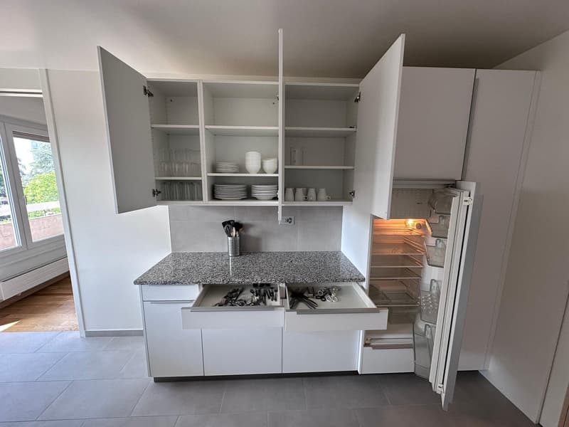 Coliving Spacieux entre Ville et Nature à Thônex (6)