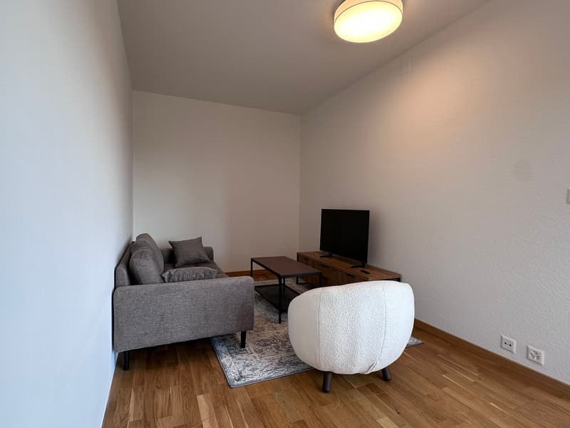 Coliving Spacieux entre Ville et Nature à Thônex (10)