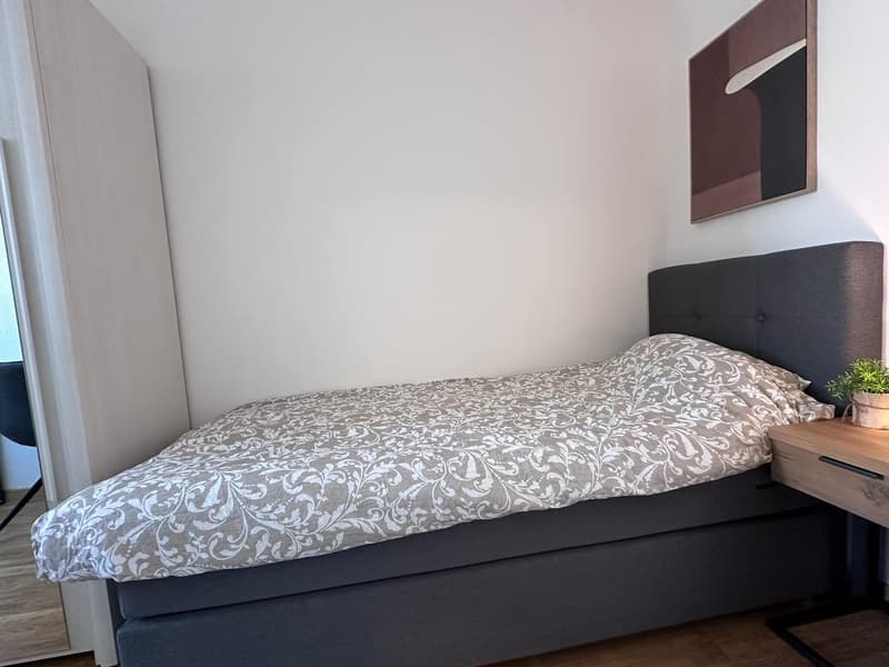 Coliving Spacieux entre Ville et Nature à Thônex (3)